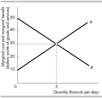   -The figure above illustrates the market for haircuts. Curve A is the _______ curve, and curve B is the _______ curve. A)  opportunity cost; opportunity benefit B)  marginal social cost; marginal social benefit C)  total social cost; total social benefit D)  marginal social benefit; marginal social cost