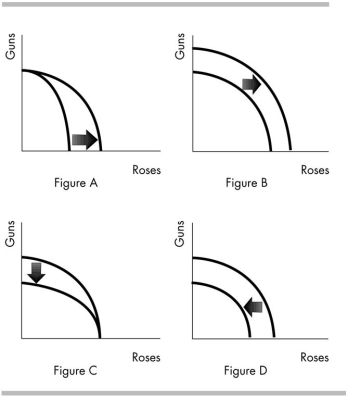   -Which figure shows the impact of scientists developing a more powerful fertiliser? A)  Figure D B)  Figure C C)  Figure B D)  Figure A