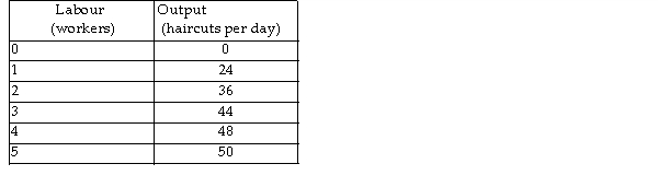   -The above table has the total product schedule for Joe's Barber Shop. Joe charges $6 per haircut. If the wage rate is $24 per worker, what quantity of labour will maximise profits? A)  2 workers B)  5 workers C)  4 workers D)  1 worker