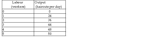   -The above table has the total product schedule for Joe's Barber Shop. Joe charges $6 per haircut. If the wage rate falls from $24 per worker to $12 per worker, the quantity of labour hired _______ and the new number of workers employed is _______. A)  decreases; 2 B)  increases; 3 C)  increases; 2 D)  increases; 5
