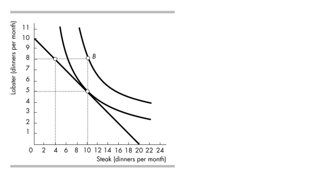 <strong> The above figure shows Jane's budget line and two of her indifference curves. Which of the following happens to Jane's budget line if the price of a lobster dinner falls?</strong> A) It would rotate outward, pivoting around the vertical intercept 10 lobster dinners. B) It would rotate outward, pivoting around the horizontal intercept 20 steak dinners. C) It would rotate inward, pivoting around the horizontal intercept 20 steak dinners. D) It would rotate inward, pivoting around the vertical intercept 10 lobster dinners.