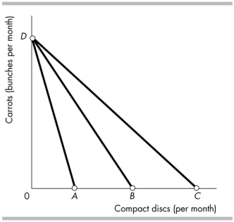   -In the figure above, suppose the original budget line is BD. A rise in the price of a compact disc will A)  rotate the budget line to CD. B)  result in a parallel leftward shift of the budget line. C)  not move the budget line. D)  rotate the budget line to AD.