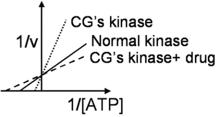 C.G.is a 30-year-old retired stockbroker who has developed possible skin cancer while sailing in Polynesia.A skin biopsy is analyzed for cyclin-dependent kinase activity at different concentrations of the cosubstrate adenosine triphosphate (ATP) .The results are shown in Figure 4.7.   The apparent effect of the drug on C.G.'s kinase activity is to: A) Reduce the Vmax of the enzyme. B) Increase the Vmax of the enzyme. C) Reduce the Km of the enzyme. D) Increase the Km of the enzyme. E) Allosterically activate the kinase.