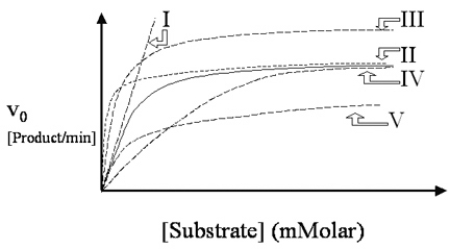A cold virus produces an enzyme rhinase, which is acted upon by a drug called rhinex.Rhinex is known to be a noncompetitive inhibitor of the viral enzyme.Which of the dashed lines in Figure 4.8 describes the action of the enzyme in the presence of drug? The solid line describes the action of the drug-free enzyme.   A) I. B) II. C) III. D) IV. E) V.