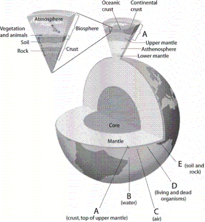   -Which letter in the diagram corresponds to the lithosphere?