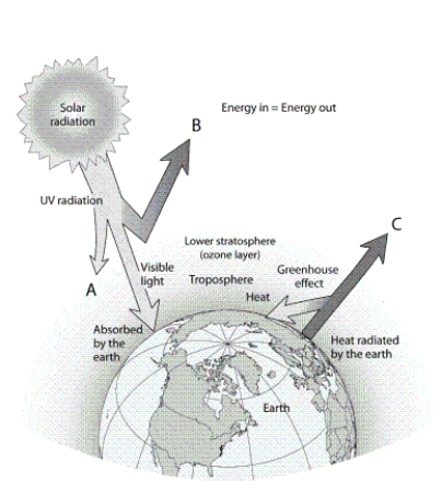   -Which letter in the diagram indicates the process that involves UV radiation and ozone?