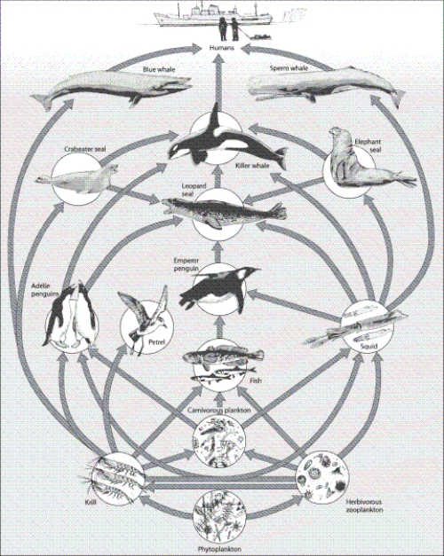   -What geographic location is inferred from the image?