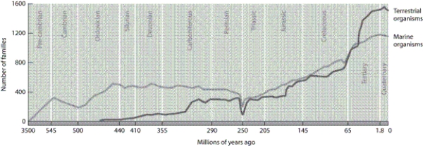   -In the diagram, what is indicated between the Permian and the Triassic periods, about 250 million years ago?