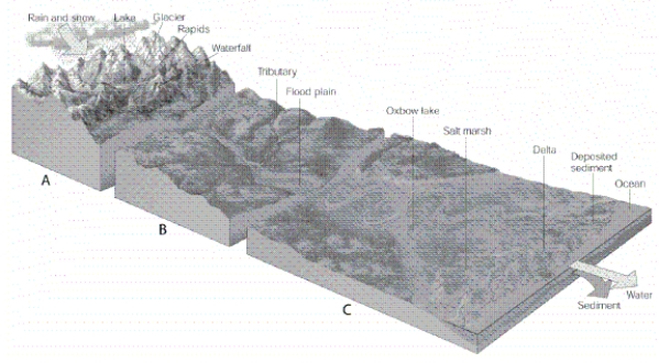   -Which letter in the diagram corresponds to the zone containing rivers that have the largest population of primary producers?
