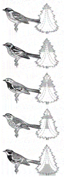   -According to the above diagram, when different species of warblers inhabit the same area, is food competition reduced?