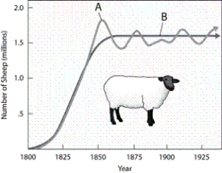   -Which letter in the graph corresponds to the portion of the curve that results from biotic potential and environmental resistance?