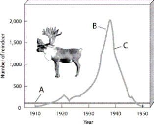   -Which letter in the graph corresponds to the portion of the graph that can also be called a dieback?