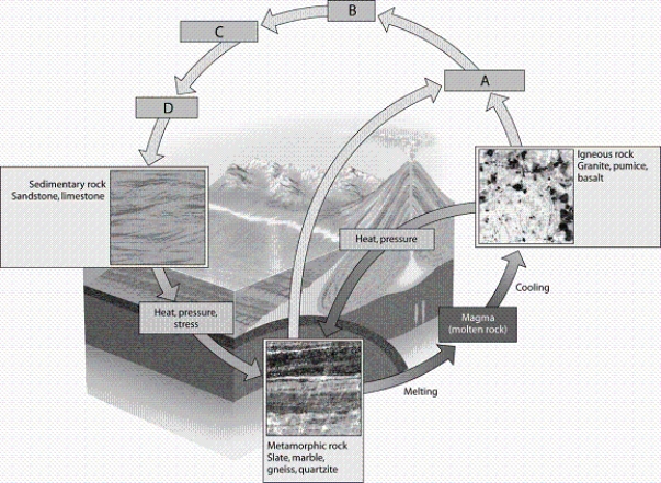   -Which letter in the diagram corresponds to the process in which sediment is deposited in a river or lake?