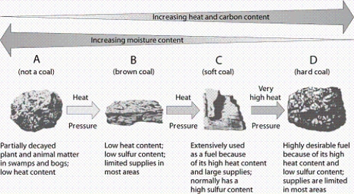   -According to the diagram, what is the projected use of nuclear power?