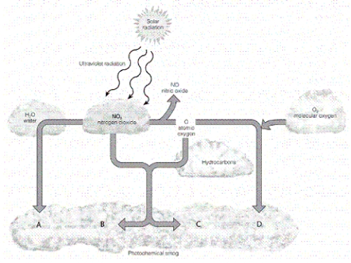   -Which letter in the diagram corresponds to a substance that is formed from the photolysis of nitrogen dioxide but can also result from stratospheric penetrations?