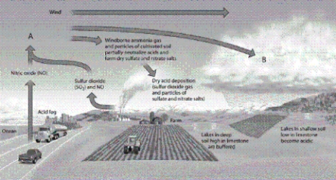   -Which letter in the diagram corresponds to wet acid deposition?