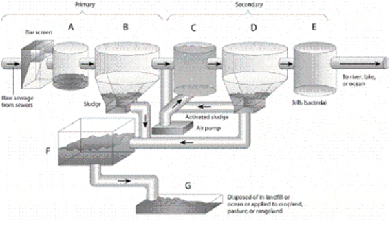   -Which letter in the diagram corresponds to the point at which all the sludge is combined before being dried?