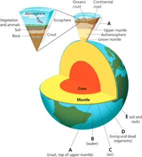 EARTH LAYERS    -Which letter in the diagram corresponds to the layer comprised of the troposphere and the stratosphere?
