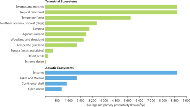 ECO GRAPH    -In the graph,which ecosystems have the greatest net primary productivity?