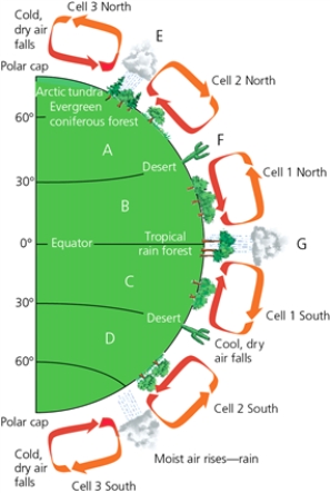 AIR    -Which letter in the diagram (E,F or G)corresponds to cool,dry air falling?