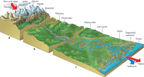 LAND ZONES    -Which letter in the diagram corresponds to the zone containing wider,lower elevation streams?
