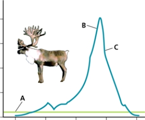 REINDEER    -Which letter in the graph corresponds to the portion of the graph representing the number of reindeer that exceeded the capacity of their environment?