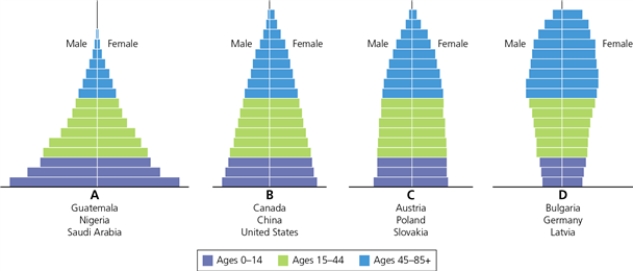 GENERALIZED POPULATION AGE STRUCTURE DIAGRAMS    -Which letter in the diagram corresponds to the population age structure with similar numbers of males and females in prereproductive and reproductive categories?
