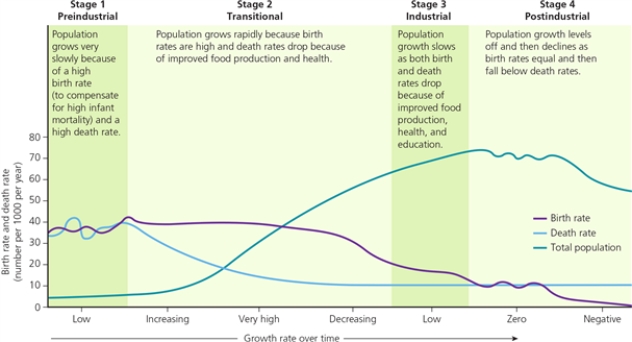 THE DEMOGRAPHIC TRANSITION    -According to the diagram,at which stage do most countries experience zero growth rate?