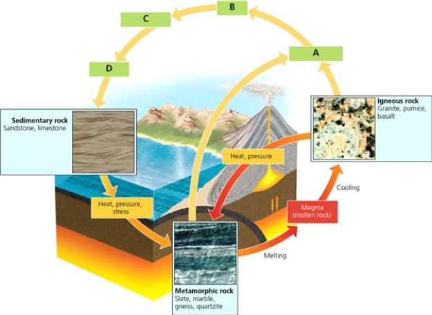 SEDIMENT    -Which letter in the diagram corresponds to the process that could involve movement by wind?