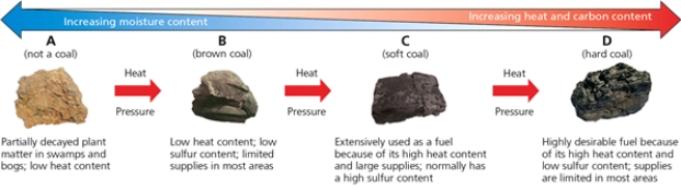 COAL    -Which letter in the diagram corresponds to the type of coal called anthracite?