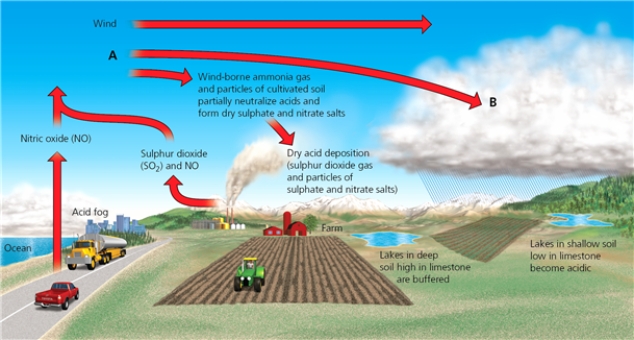 WIND    -Which letter in the diagram corresponds to the transformation to sulphuric acid and nitric acid?
