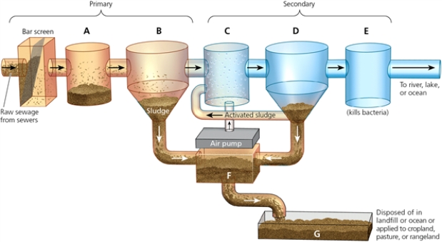 PRIMARY AND SECONDARY SEWAGE TREATMENT    -Which letter in the diagram corresponds to the point at which the water is aerated?