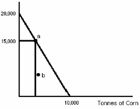Figure 2-3 Tonnes of Soybeans   -Given Figure 2-3 as the PPC for a particular farmer,if the farm is producing 7,000 tonnes of soybeans at point b,we know that A) the farmer must be using only 75 hectares of his land. B) the farmer must have leased an additional 25 hectares of land. C) the farmer must be producing 5000 tonnes of corn. D) if the farmer were using his resources efficiently,he could be producing 6500 tonnes of corn.