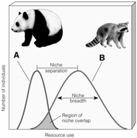 Match the items listed below with the appropriate choice    -Which letter represents the species most likely to become threatened or endangered?