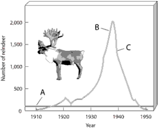 Match the items listed below with the appropriate choice    -On the exponential growth of reindeer figure, choose the portion of the graph that represents the number of reindeer that exceeded the capacity of their environment.