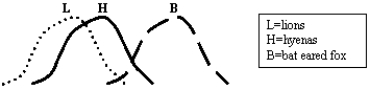    The three graphs above represent the niches of three different species of mammal on the African Savannah. -Which of the following is accurate based on the graphs represented? A) Lions and hyenas have a great deal of niche overlap. B) Hyenas and bat eared foxes have no niche overlap. C) Lions frequently steal food from bat eared foxes. D) Lions are more successful hunters than are hyenas. E) Two of the above are true.