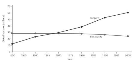   -For a given theoretical country, assume the productivity in metric tons per hectare remains stable, and the weighting factor remains the same, but the metric tons of fish harvested per year is reduced by 50%. a.How will this affect the fishprint for this country?