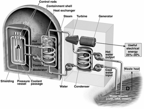 Match the items listed below with the appropriate choice    -Water from the external cooling area penetrates inside the plant to which compartment?