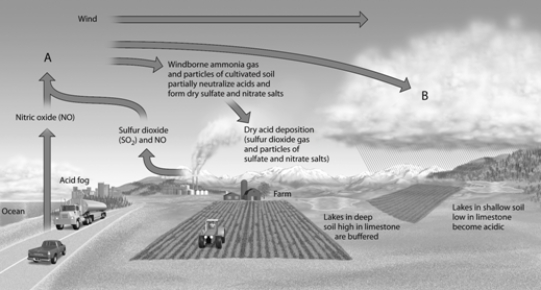 Match the items listed below with the appropriate choice    -On the acid deposition figure, choose the letter that represents the wet acid deposition.