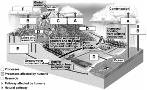Match the items listed below with the appropriate choice    -On the figure of the hydrological cycle, choose the letter that represents infiltration.