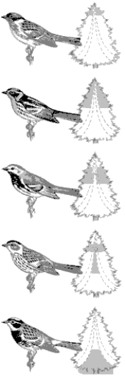  -As indicated in this image, when different species of warblers inhabit the same area, is food competition reduced?