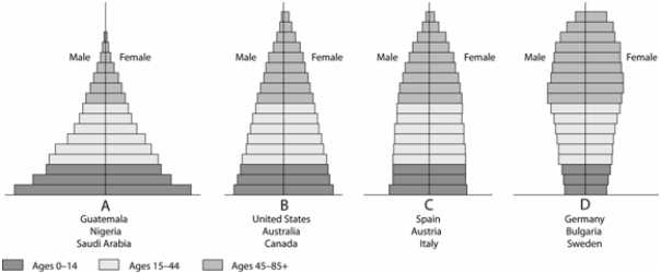 Match the items listed below with the appropriate choice    -On the generalized population age structure figure, choose the diagram that represents a population that is increasing slowly.