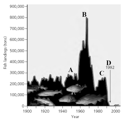 Using the graph pictured below that shows the tons of cod catch in the North Atlantic from 1900 on, match the appropriate letter with the description given.   -What point on the graph represents the year when 20,000 fishermen and fish processors lost their jobs?