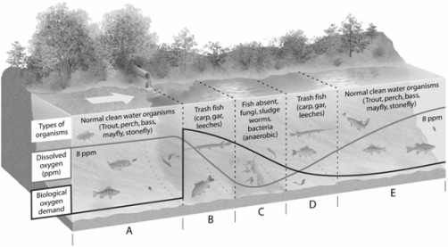 MATCHING    -On the dilution and decay of degradable wastes figure, choose the zone in which populations of organisms with high oxygen requirements will most likely be eliminated.