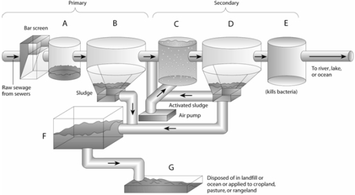 Match the items listed below with the appropriate choice    -On the primary and secondary sewage treatment figure, choose the letter that represents where sludge is dried before being disposed of.