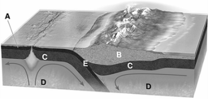 Match the items listed below with the appropriate choice    -On the figure of the tectonic plates, choose the letter that represents the asthenosphere.