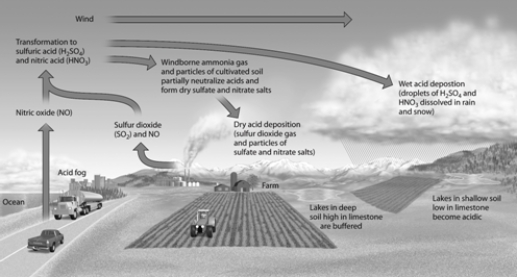   -Based on the image, which chemicals are primarily responsible for lowering the pH of rain?