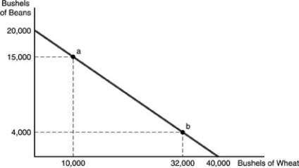   -Refer to the above figure. If the farmer is growing 8,000 bushels of beans and 8,000 bushels of wheat, then we know that A)  the farmer is not using resources efficiently. B)  the farmer is using more land for wheat than for beans. C)  the farmer should increase the amount of wheat grown and reduce the amount of beans. D)  the farmer cannot be using the amount of land that was used to construct the curve.