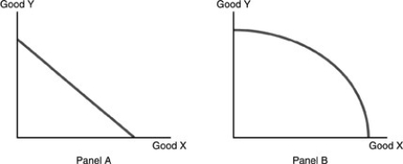   -Refer to the above figure. Which of the following statements is true? A)  Panel A does not represent an economy that is producing efficiently while Panel B does. B)  Panel A represents an economy that has a lower level of technology than Panel B. C)  Opportunity costs do not apply to Panel A but apply to Panel B. D)  In Panel A, equal amounts of Y must be given up to obtain equal increments of X while in Panel B increasingly greater amounts of Y must be given up to obtain equal increments of X.