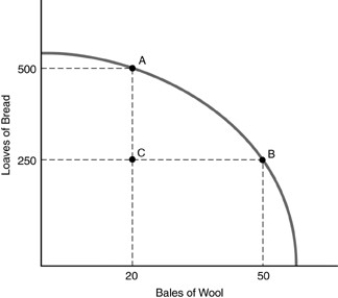   -Refer to the above figure. Which one of the following statements is true with regard to the economy depicted in the graph? A)  Starting from point A, this economy does not incur any opportunity cost in producing more bread. B)  Starting from point A, this economy does not incur any opportunity cost in producing more wool. C)  In moving from point A to point B, the economy produces 30 additional bales of wool at an opportunity cost of 250 loaves of bread. D)  In moving from point A to point B, the economy is experiencing economic growth.